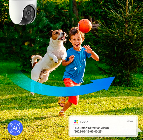 Cámaras de Seguridad