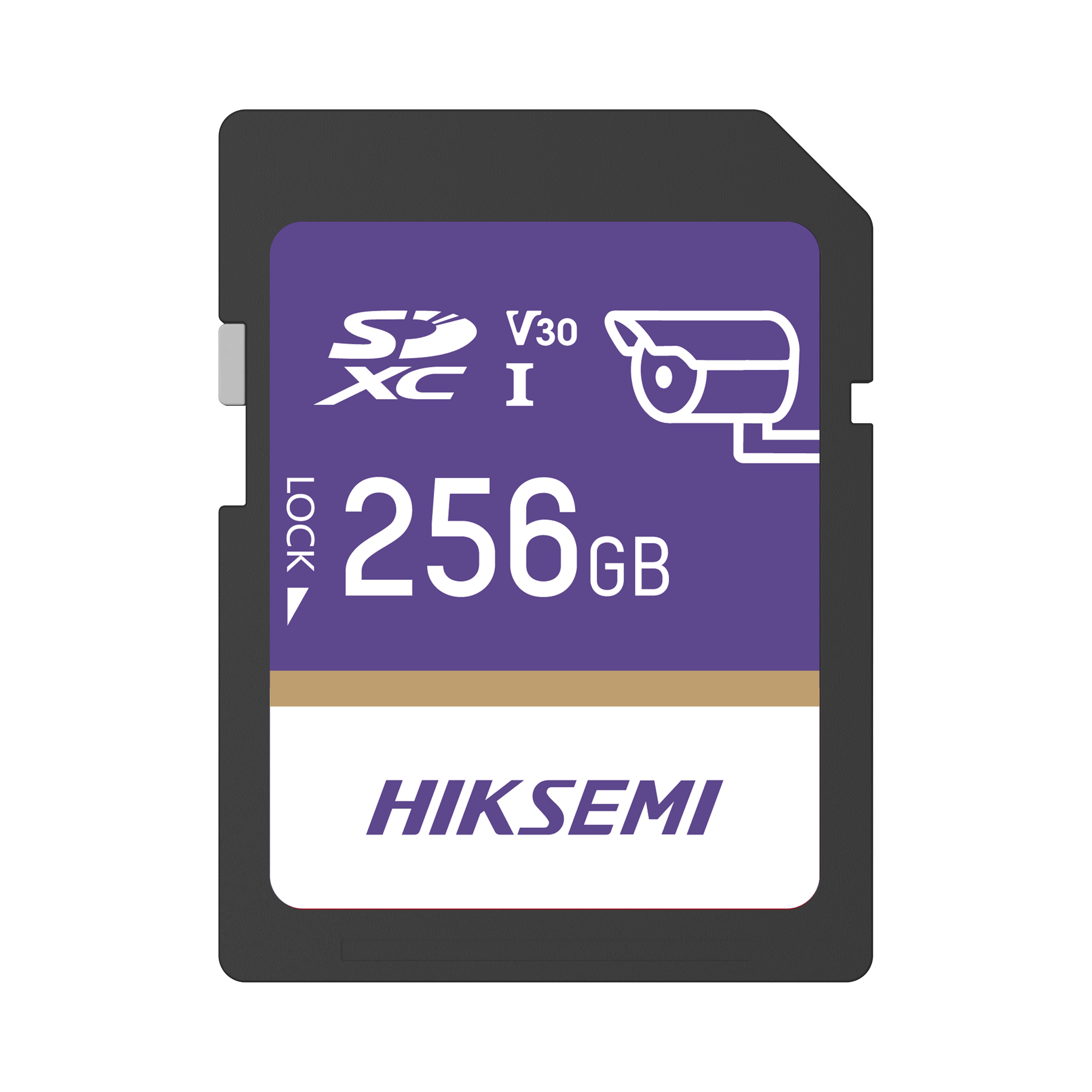 Memoria SD Clase 10 de 256 GB / Especializada Para Videovigilancia